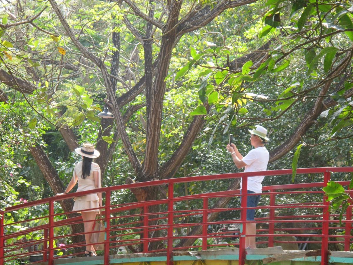 Hoang Lan Villa - Suoi Luong - Hai Van Park Danang Exteriér fotografie